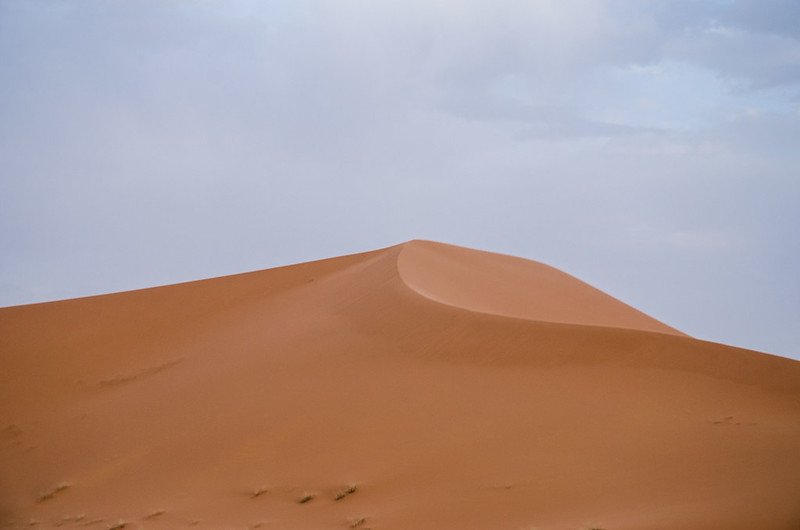 Grand Tour Casablanca to Fez