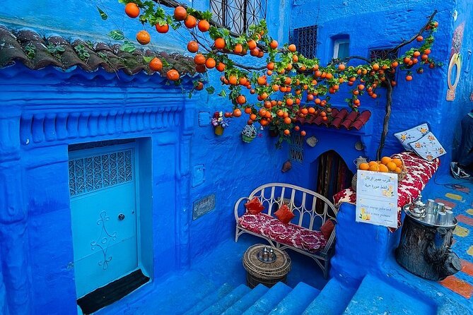 7 Amazing Morocco Day Trips You Should Book in 2026