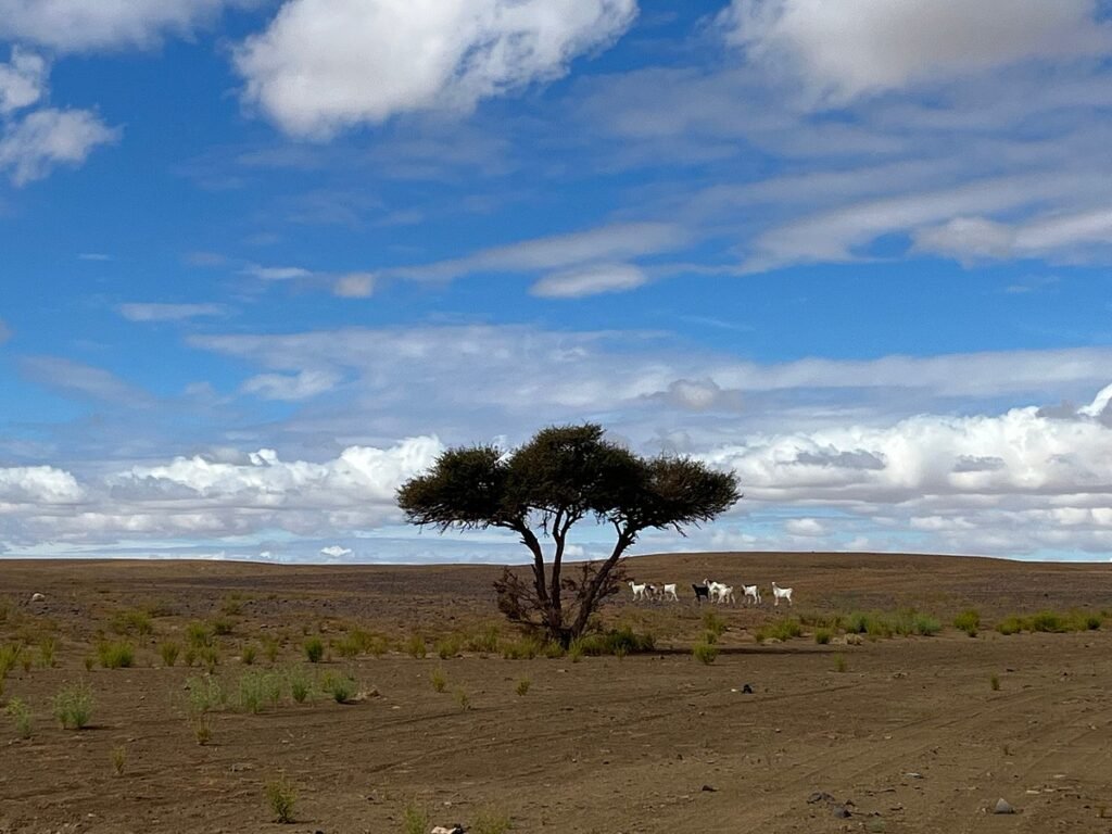 10 Beautiful Morocco Destinations You Must Visit This Year