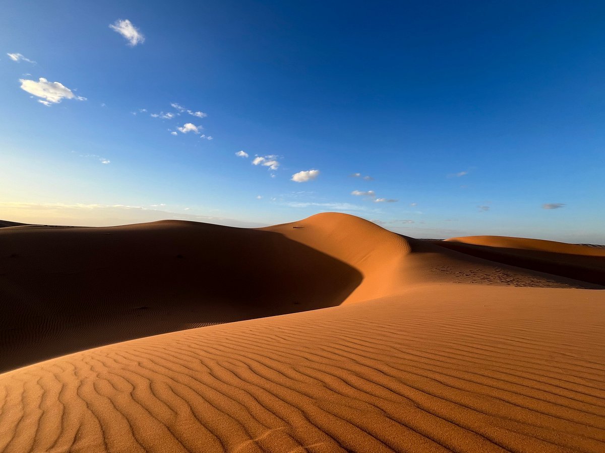 Morocco Day Trip Sahara desert camel tour
