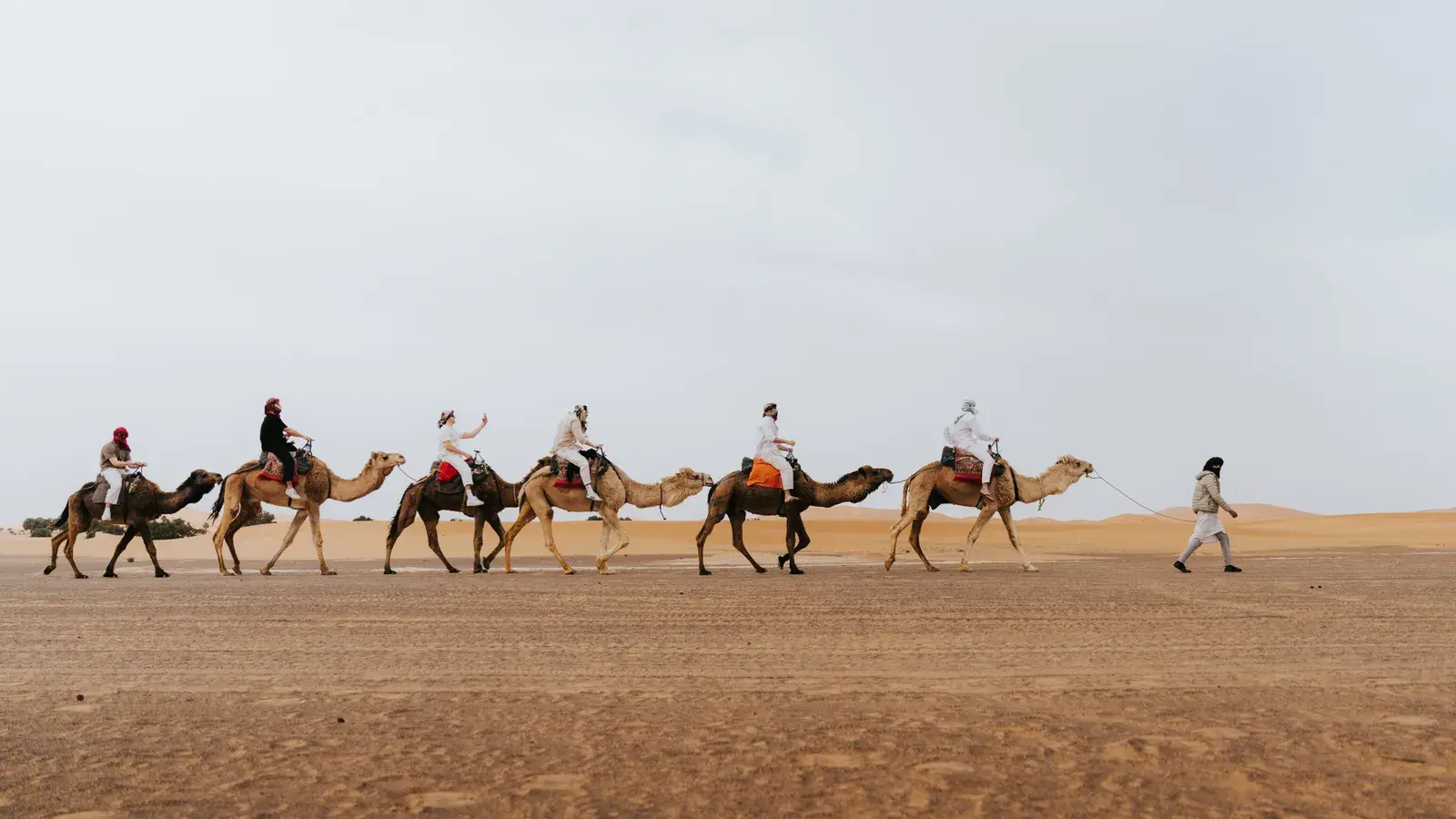 5 Days Student Tour in Morocco