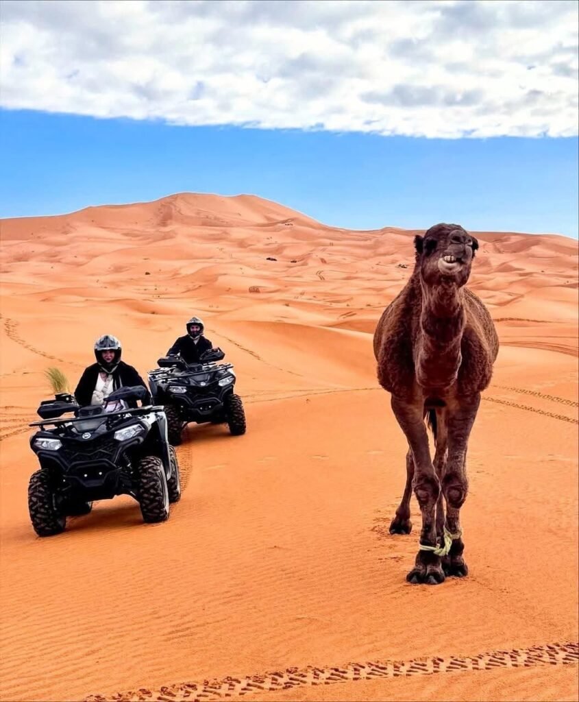Best 3 Days Marrakech Desert Tour To Merzouga