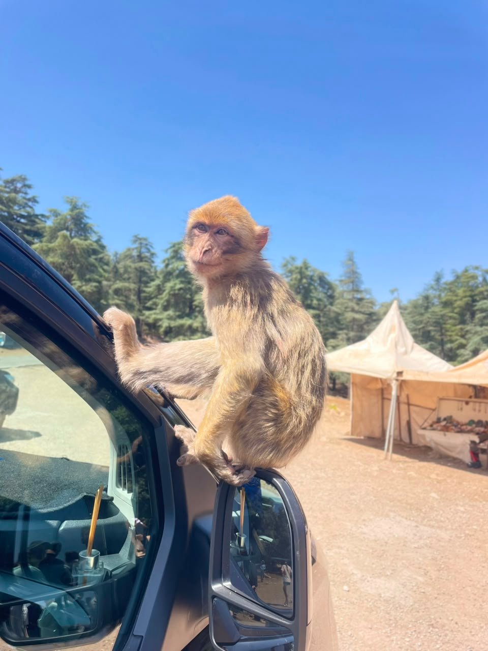 Best 4 Days Agadir to Fes via Merzouga Desert